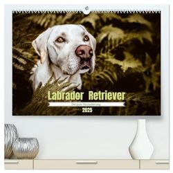 Verzauberung Labrador Retriever 2025 (hochwertiger Premium Wandkalender 2025 DIN A2 quer), Kunstdruck in Hochglanz: 12 unterschiedliche Labrador Retriever begleiten dich durch das neue Jahr