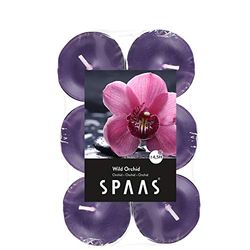 Spaas 10 x 12 Scented Tealights in Flatpacks, 4.5 Hours, Wild Orchid, aubergine