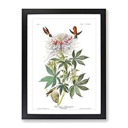 John James Audubon Ruff Necked Humming Bird Vintage Framed Wall Art Print, Ready to Hang Picture for Living Room Bedroom Home Office Décor, Black A4 (34 x 25 cm)