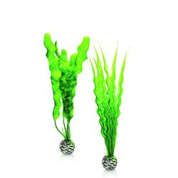 biOrb Jeu de plantes M en vert