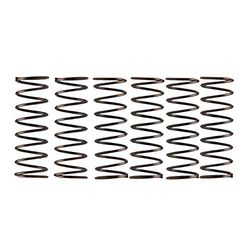 Campagnolo componentry reserveonderdelen hubs Pawl Spring, 6-fh-re014-6 stuks