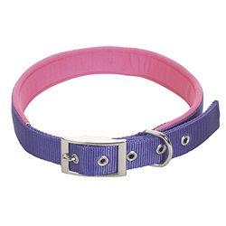 CHAPUIS SELLERIE Collier pour Chien Sangle Confort Nylon Violet Largeur 25 mm, Longueur 55 cm, Taille L