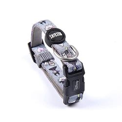 CERDÁ LIFE'S LITTLE MOMENTS - Collier pour Chien Disney Villanas (S/M)