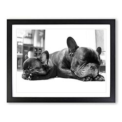 Two Black French Bulldogs Dog Modern Framed Wall Art Print, Ready to Hang Picture for Living Room Bedroom Home Office Décor, Black A2 (64 x 46 cm)