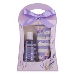 Accentra – Set de ducha para mujer, set de regalo Lavanda en bonita caja de regalo, set de cuidado de 2 piezas con gel de ducha y loción corporal, set de regalo de bienestar para cumpleaños, San