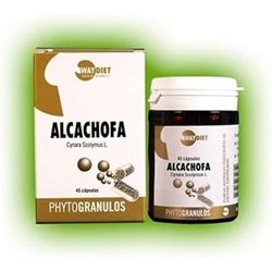 Waydiet Natural Phytogranules Shower Head - 200 g