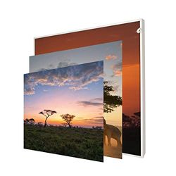 INFORMA Cornice portafoto a LED in bianco opaco, 3 cambi, motivo Safari, senza cornice, 50 x 50 cm, 27 LED, motivi intercambiabili con stampa diretta UV