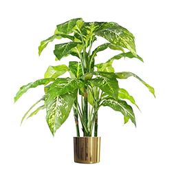 Leaf 100cm Large Fox's Aglaonema (Spotted Evergreen) Tree Artificial Plant, Green with Gold Planter