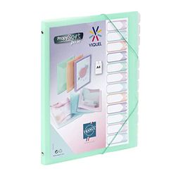 Viquel - Propysoft - Organizador personalizable con 12 compartimentos (tamaño A4, cierre elástico), color verde translúcido