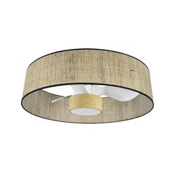 Levitantes verlichting, afbeelding