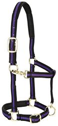 Weaver Leather Licol rembourré réglable en Nylon Violet 2,5 cm pour Petit Cheval