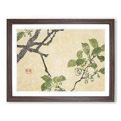 White Plum Flowers By Shibata Zeshin Asian Japanese Framed Wall Art Print, Ready to Hang Picture for Living Room Bedroom Home Office Décor, Walnut A2 (64 x 46 cm)