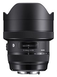 Sigma F4 DG AF HSM Art - Objetivo para cámara para réflex (12-24 mm) Negro