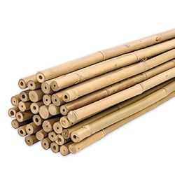 PLANTAWA - Tuteurs en Bambou 90 cm Lot de 25 pièces Ø 10-12 mm | Support pour Plantes, Légumes, Tomates et Plants de Tomates | Tuteur pour Plante Faciles à Installer - Tiges de Bambou Robustes