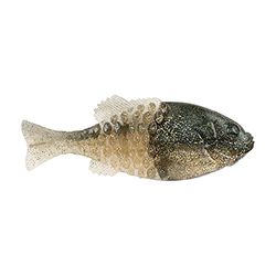 Berkley Powerbait Gilly - Señuelo Suave de Pesca, Color Azul Brillante Dorado, 110 mm