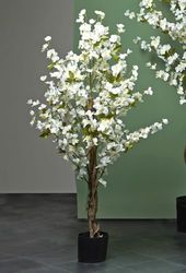 CEREZO FLOR BLANCA 120 CMS. 120 cms
