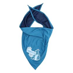 CoolPets Bandana Rafraîchissant Chien S – Tour de Cou 30 à 36 cm – Collier Rafraîchissant – Accessoire Chien Été – 40 x 30 x 30 cm – Bleu