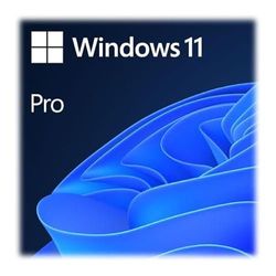 Ernitec Windows 11 Pro OEM-merk