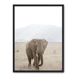Cuadro elephant in the savana i_FASE5
