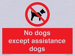 Cartello con scritta "No dog except assistance dog", 200 x 150 mm, formato A5L