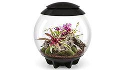 biOrb 72557 biOrb AIR 60 zwart, automatisch terrarium voor comfortabele plantenverzorging, acryl