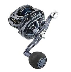 Daiwa Carrete de Pesca Lexa 300 HD Baitcasting Reel 6 Crbb