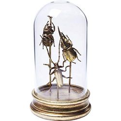 Kare Design Object Insects Tre Deco