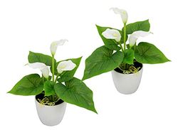 Flair Flower Mini-pot, set van 2, wit, kunstbloem, calla, kunstplant, polyester, kunststof, 20 cm hoog, 16 cm breed