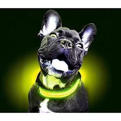 Freedog Collar Led Con Batería Amarillo S 40-48 cm