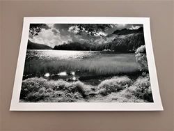 Stampa fotografica fotografia d'autore Svizzera Engadina Lago di Sils bianco e nero infrarosso foto paesaggio (21 X 29,7 cm (A4))
