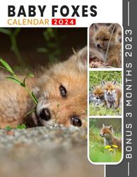 Calendar 2024: Great Gift For Beloved Fan and Collectors, Jan 2024 to Mar 2025, Eco Friendly, Major US Holidays