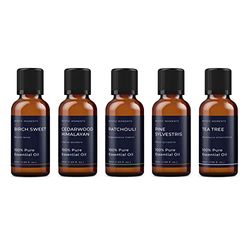Mystic Moments | Woodland Essential Oil Gift Starter Pack 5x50ml | Birch Sweet, Cedarwood Himalayan, Patchouli, Pine Sylvestris, Tea Tree | Perfect as a Gift