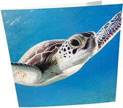 Carte d'anniversaire vierge Motif tortue de mer