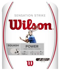 Wilson Sensation Strike 17, Badminton String Unisex-Adult, White/Grey, One Size