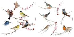 Komar 16003 Window Sticker Birds – Pack of 1