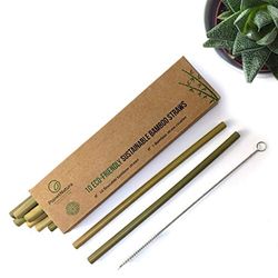Bamboo Straws 10 Pack