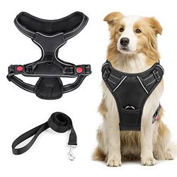 Pettorina Cane Regolabile e Riflettente - Imbracatura Traspirante per Cani Taglia Grande, Gilet con Guinzaglio - Antifuga per Corsa, Passeggiate, Jogging