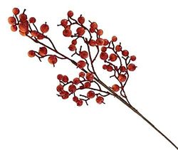 VEA SRL L.Autunno steel bessen appel 70cm BET5914