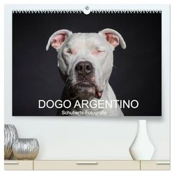 DOGO ARGENTINO (hochwertiger Premium Wandkalender 2026 DIN A2 quer), Kunstdruck in Hochglanz: Eine Hunderasse zum verlieben