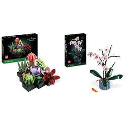 LEGO Icons Piante Grasse, Set per Adulti da Collezione, Modellismo e Hobby Creativi, Modellino da Costruire in Mattoncini con 9 Piccoli Fiori Finti & Orchidea, Set per Adulti da Collezione