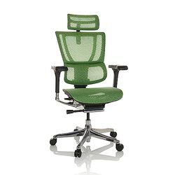 hjh OFFICE Siège de Bureau ERGOHUMAN Slim I résille Fauteuil de Bureau Ergonomique avec Soutien Lombaire Flexible, Vert, 652292