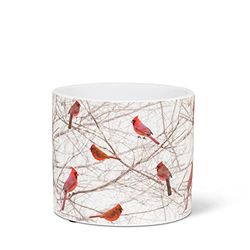 Abbott Collection Casa Piccoli cardinali in Bush Planter