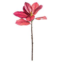 EUROCINSA Burgundy Magnolia Branch, Box of 6, 66cm