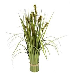 Flair Flower Grasbundel vossenstaartgras, staand gras, kunstgras, kunstgras, kunstgras, kunstgras, kunstgras, siergras, grasarrangement, borstelgierst, panicoideae, zoetgrassen Setaria
