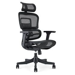 Waytex Draconis Ergonomiczne krzesło biurowe, oddychające krzesło biurowe, regulowane podłokietniki 3D, regulowane zagłówki, bardzo wygodne podparcie lędźwiowe - czarne