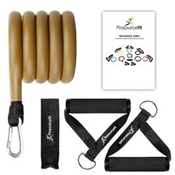 ProsourceFit Enkele stapelbare weerstandsbanden met deuranker en trainingsgids, 18-22,7 kg, zware fitnessbuis voor full-body oefeningen en thuistraining, bruin