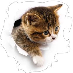 Ambiance - Adhesivo decorativo para pared (55 x 55 cm), diseño de gato