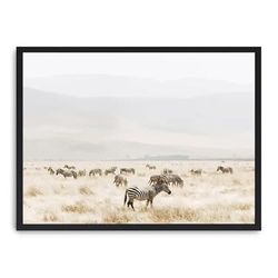 Cuadro grazing zebras_FASE5