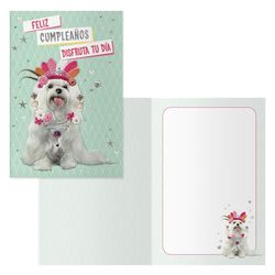 DOHE - Birthday Greeting Cards - Pack of 6 - Size: 11.5 x 17 cm (closed) - Includes envelope to store the card - Model Perrito