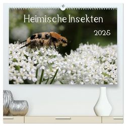 Heimische Insekten 2025 (hochwertiger Premium Wandkalender 2025 DIN A2 quer), Kunstdruck in Hochglanz: Nahaufnahmen von deutschen Gartenbewohnern